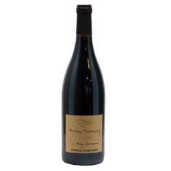 Domaine Antoine Sanzay Saumur-Champigny La Haye Dampierre - Vin Bio | French Wine